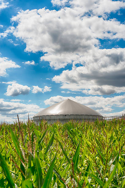 Biomass energy plant producing compressed bio gas