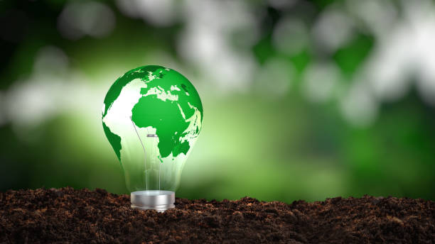 Renewable energy and sustainability