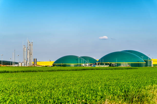 Compressed Bio Gas