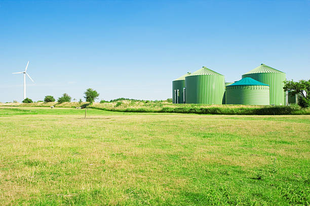 Waste To Energy